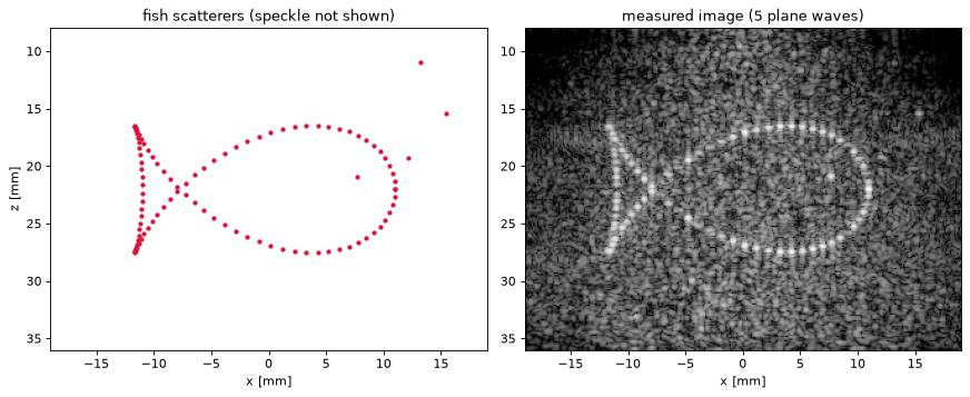 ../../_images/notebooks_inverse_fish_example_9_0.png